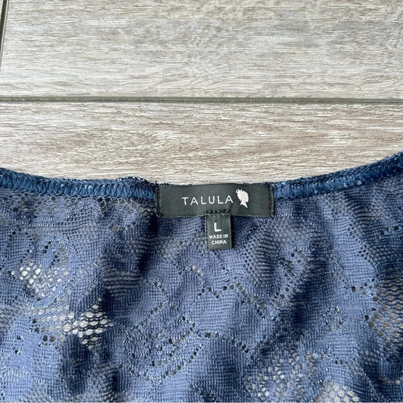 Aritzia Talula Navy Lace Semi Sheer Mini Dress - Picture 5 of 14